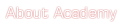 About Academy